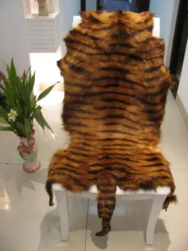 高档真虎皮 整体感观