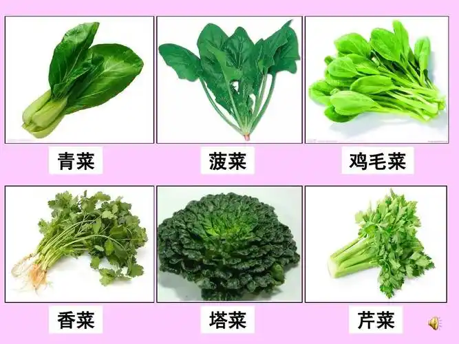 大班音乐:蔬菜汤ppt