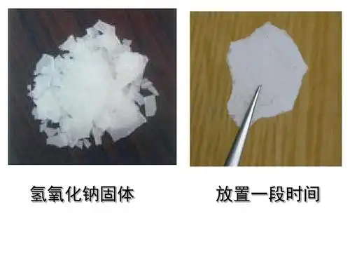 氢氧化钠探究ppt