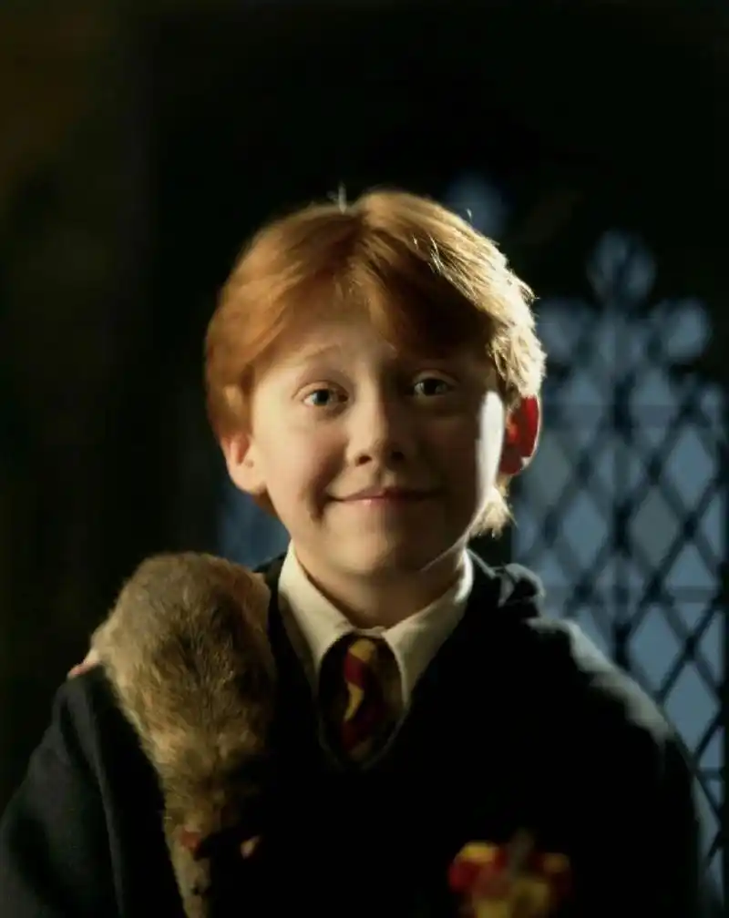 罗恩·韦斯莱人物简介(全网最详细) 罗恩61韦斯莱 ron weasley 全名