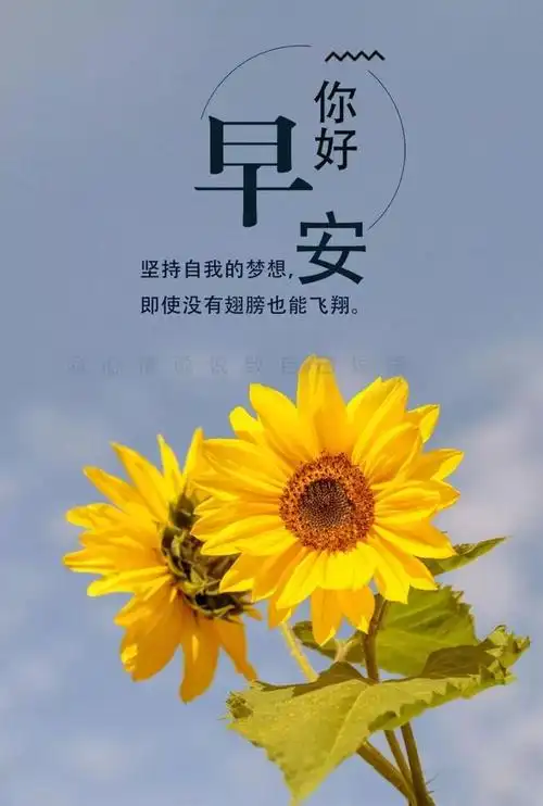 2月17日每天早上早安经典语录早安心语问候语短句