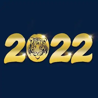 藏蓝色底金色手写艺术字2022虎头闪光金属字