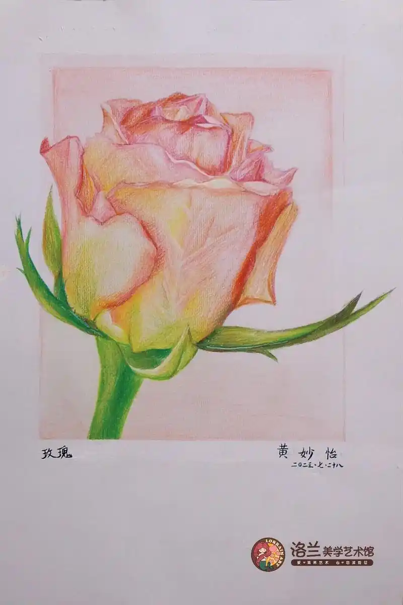 彩铅玫瑰花|10岁画.#画画 #一起学画画 #手绘 #彩铅  - 抖音