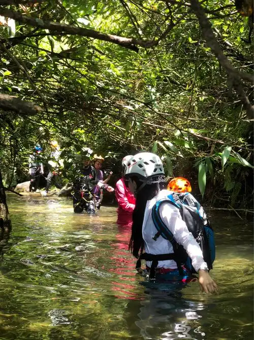 爬爬夏天日常活动