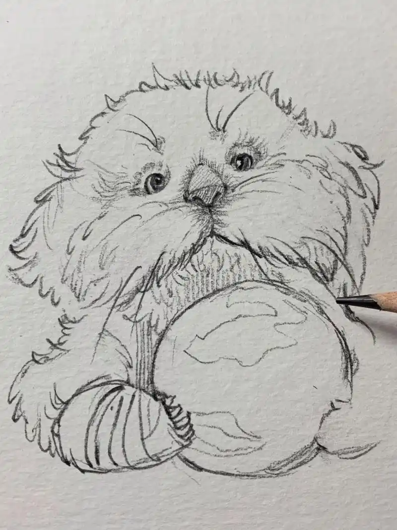 画完一页77 海獭真的好可爱 73:卡西米尔铅笔