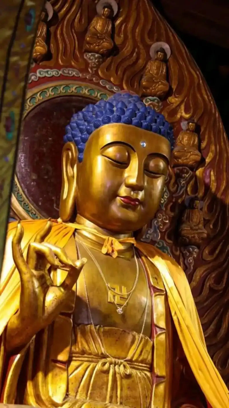 释迦牟尼佛.释迦牟尼佛圣诞(四月初八),释迦牟尼,佛教创始人 - 抖音