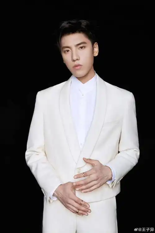 能量偶像人物志音乐才子王子异