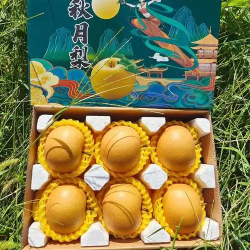 晶太太 山东秋月梨6枚水果新鲜中秋礼盒应当季整箱梨子中秋送礼 5斤