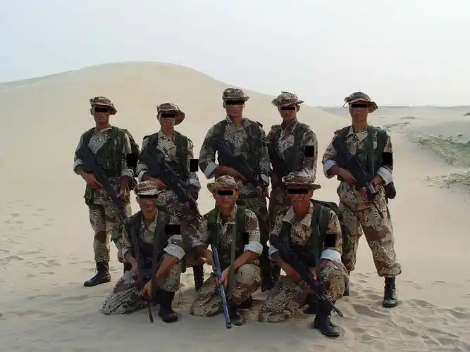 解放军官兵野战图三张!