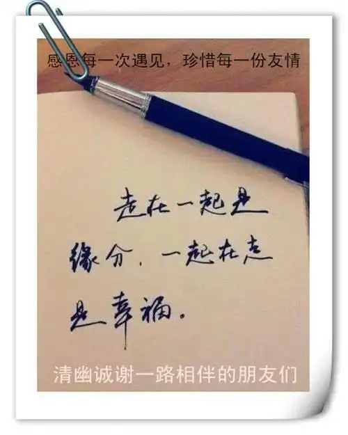 我的朋友(金水湖小学四年级四班 韩延旭)