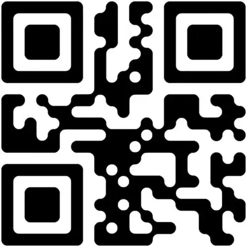 【店铺】制作二维码!骚年真的不来一发