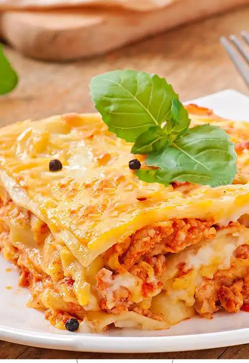 千层面 欧萨意大利千层面500g 原装进口薄宽面皮千层皮家用意面意大利