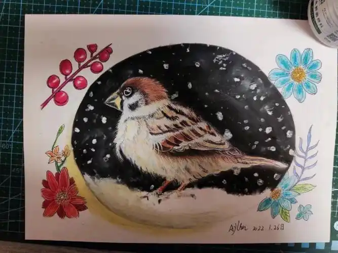 第26张彩铅小麻雀