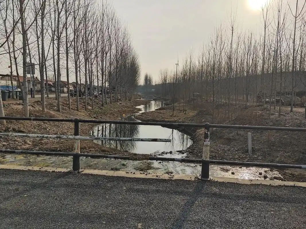 青岛市黄岛区宝山镇抬头村蒋玉福.你们看明明在占用河道.