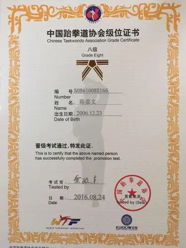 跆拳道考级证书