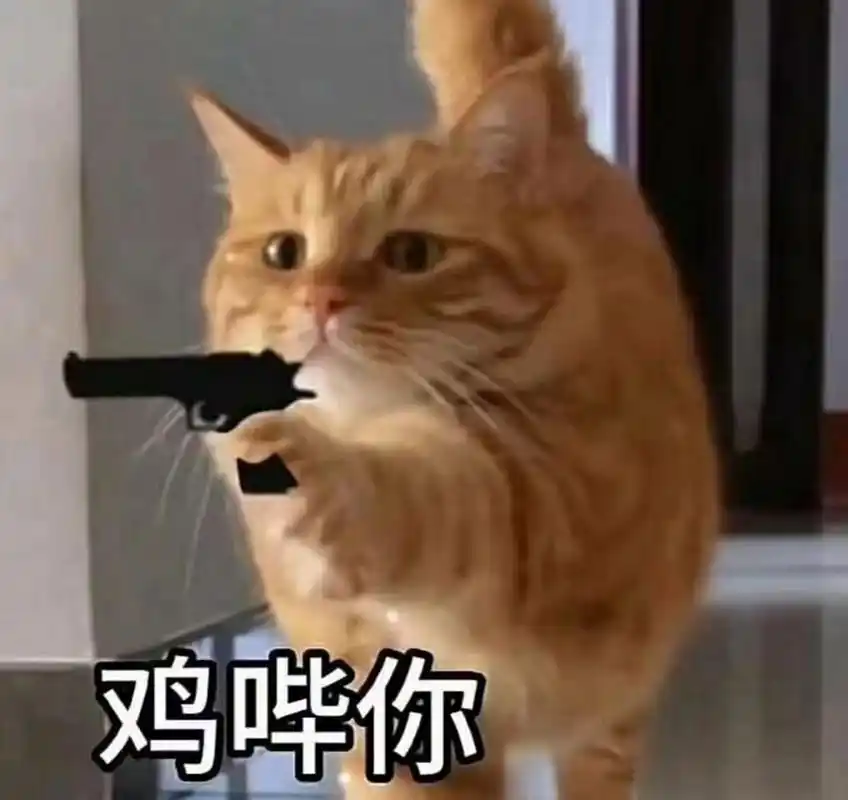 修猫击毙你表情包,快冲 一只会踢正步的小猫,也会击毙你