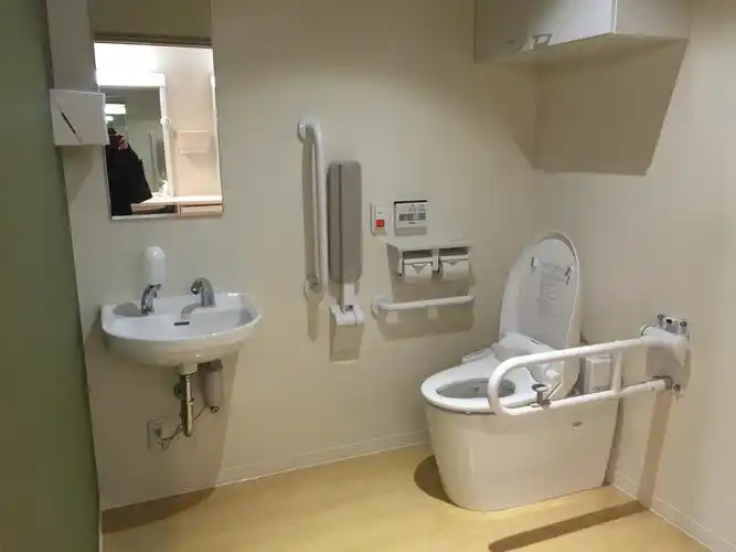 原创头一次见日本卫生间的设计,已经人性化到这种程度,真是太机智了