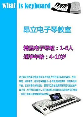 14128个关于"电子琴介绍"的素材