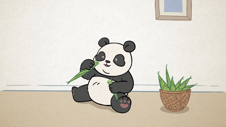 2020年度动画合集【熊猫滚阿滚】