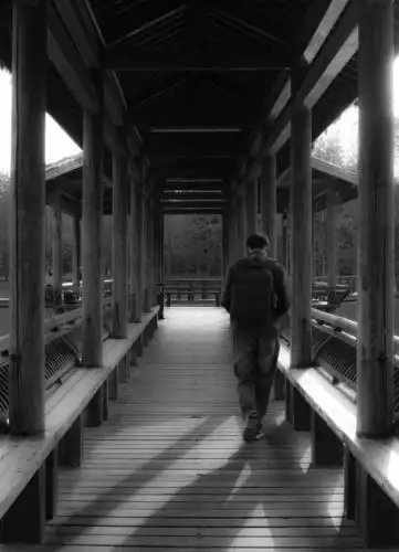背影 黑白 旅行 背影 孤独 前行 离开 单人