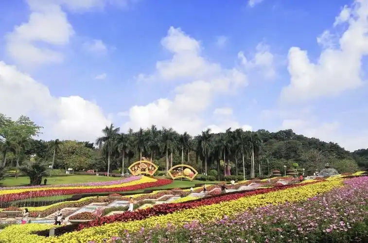 广州首批百个网红打卡点,白云这些地方上榜了_广电旅游局