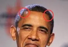 龙角骨 九为龙角骨.