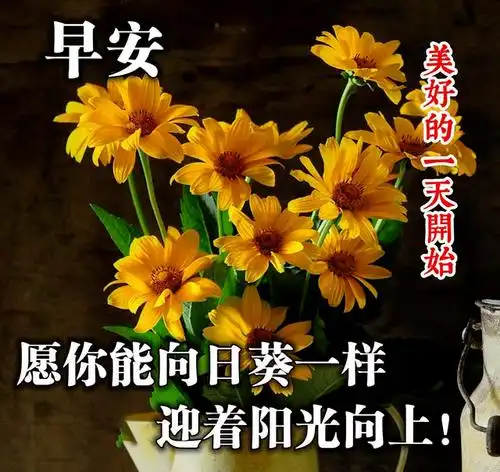 2020最新早上好祝福句子,很漂亮的早安问候图片