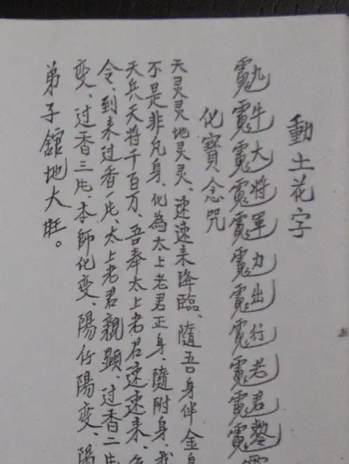 讳令符胆花字帝徽金字