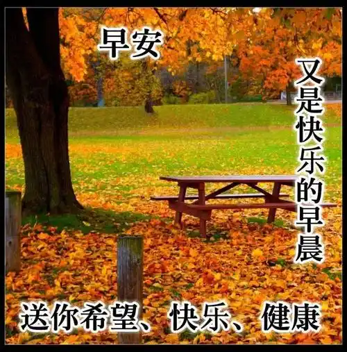 今日最新版早安问候大全,创意好看的早上好祝福图片带字温馨_手机