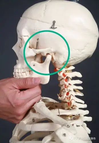 听故事学推拿123整复颞下颌关节脱位