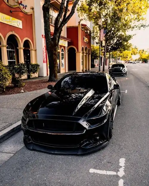 灵感与启发福特野马mustanginstagram改装集