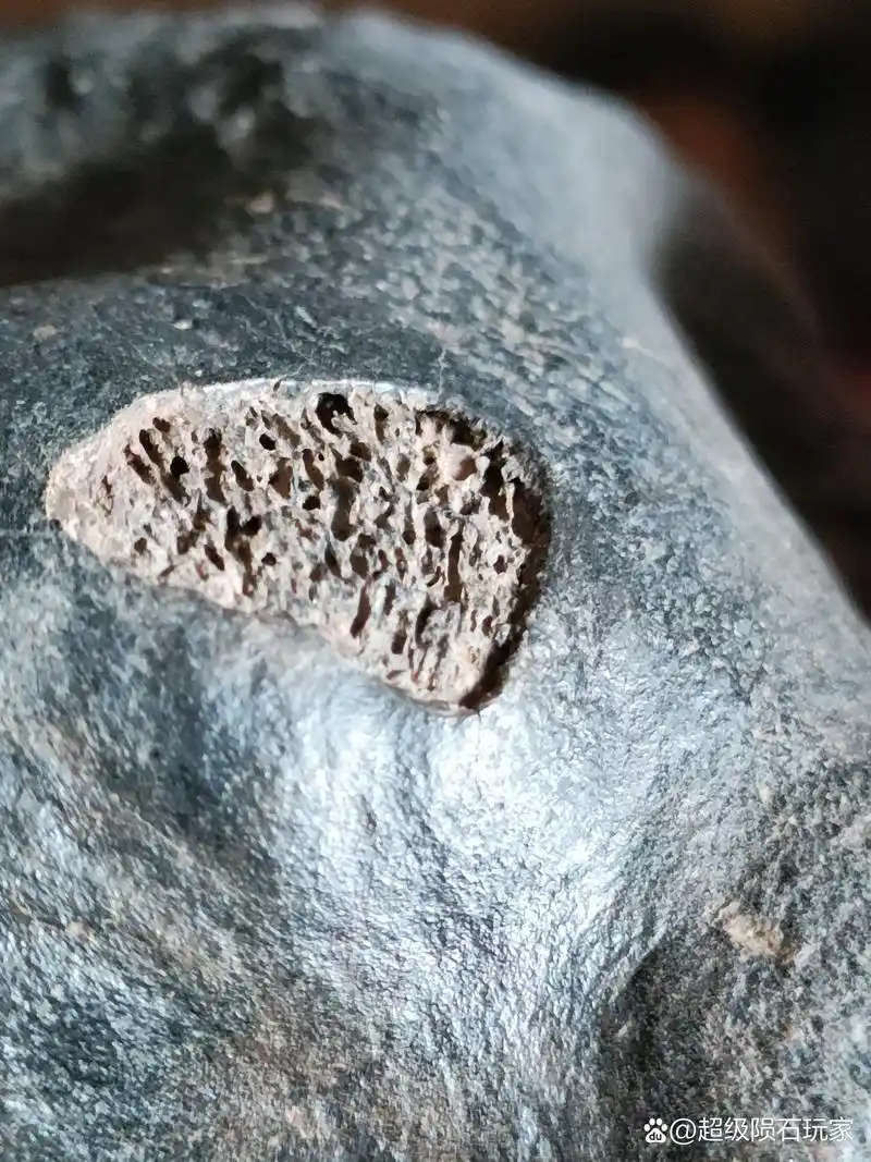 某大型陨石坑边上的疑似化石陨骨.