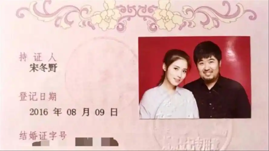 原创发文卖惨辱骂网友从民谣先锋到引发众怒宋冬野经历了什么