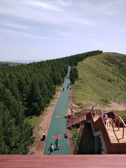 尚义大青山一日游