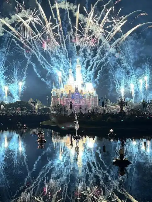 本来以为迪士尼已经够美了#直到……拍到了城堡烟花……美到窒息!