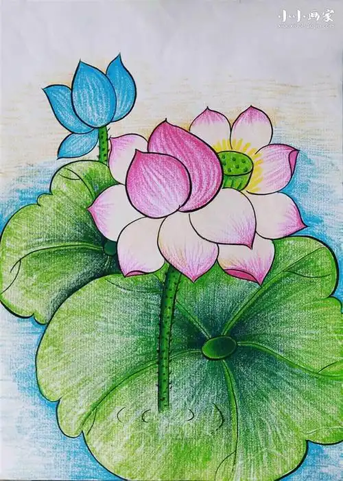 优秀的荷花蜡笔画作品图片