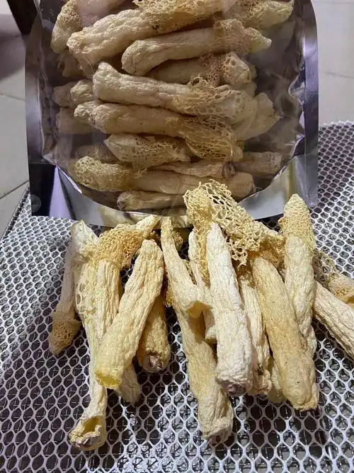 现烤贵州红托竹荪干货无添加100g119元包其它