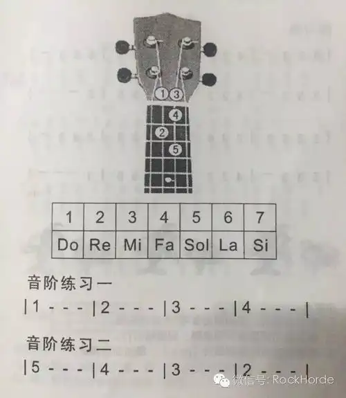 尤克里里初级教程