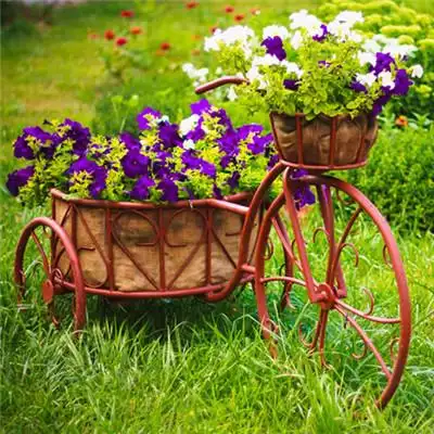 招财头像花 高清漂亮的招财吉祥微信头像花的图片大全