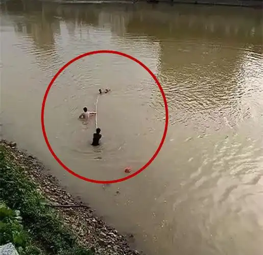 肇庆一女子跳河自杀,视频拍下惊险一幕!