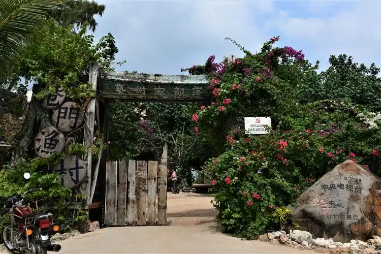 徐闻珊瑚礁保护区,南极村艺术家部落 2020.11.