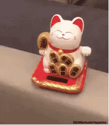 人家才是真·招财猫!-搜狐大视野-搜狐新闻