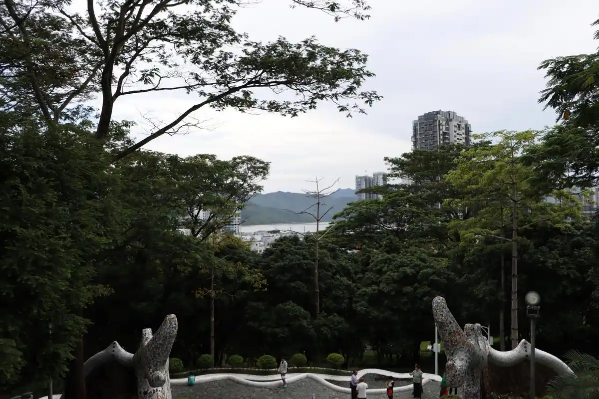 深圳沙头角海山公园摄影