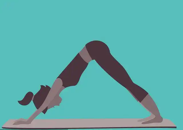 了解下犬式训练动作了解动作教程学习训练技巧提高训练效率