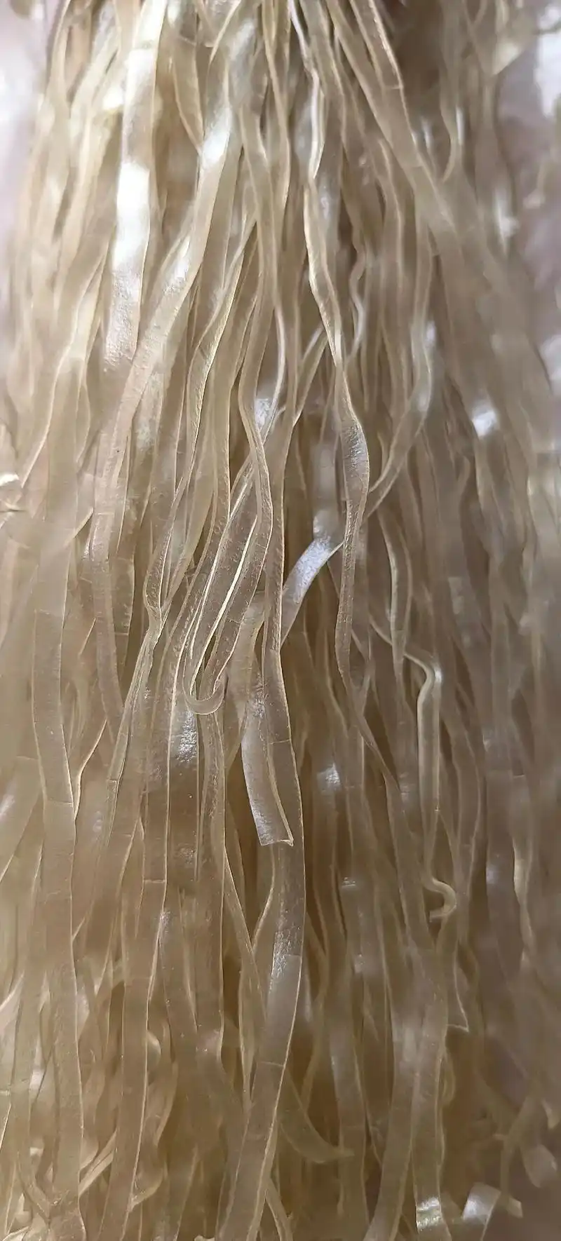 百分之百纯芭蕉芋粉条.无任何添加.假一赔十.有 - 抖音