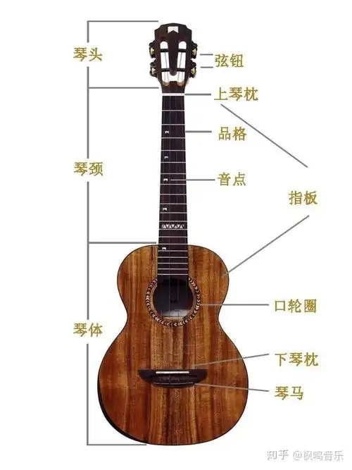 尤克里里如何快速学会尤克里里购买推荐