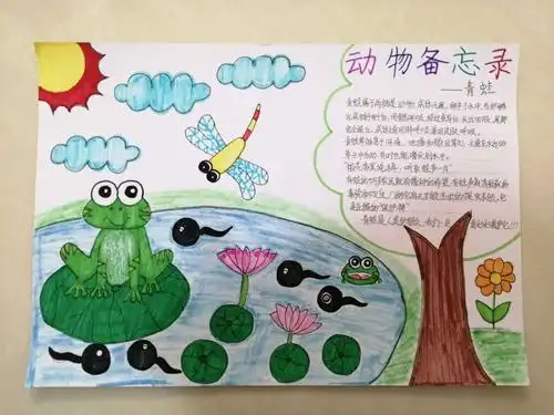 三年六班 研究性学习 动物备忘录