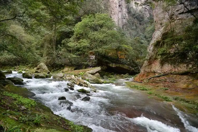 原创云游张家界疫后再相见武陵源美景之五诗情画意金鞭溪