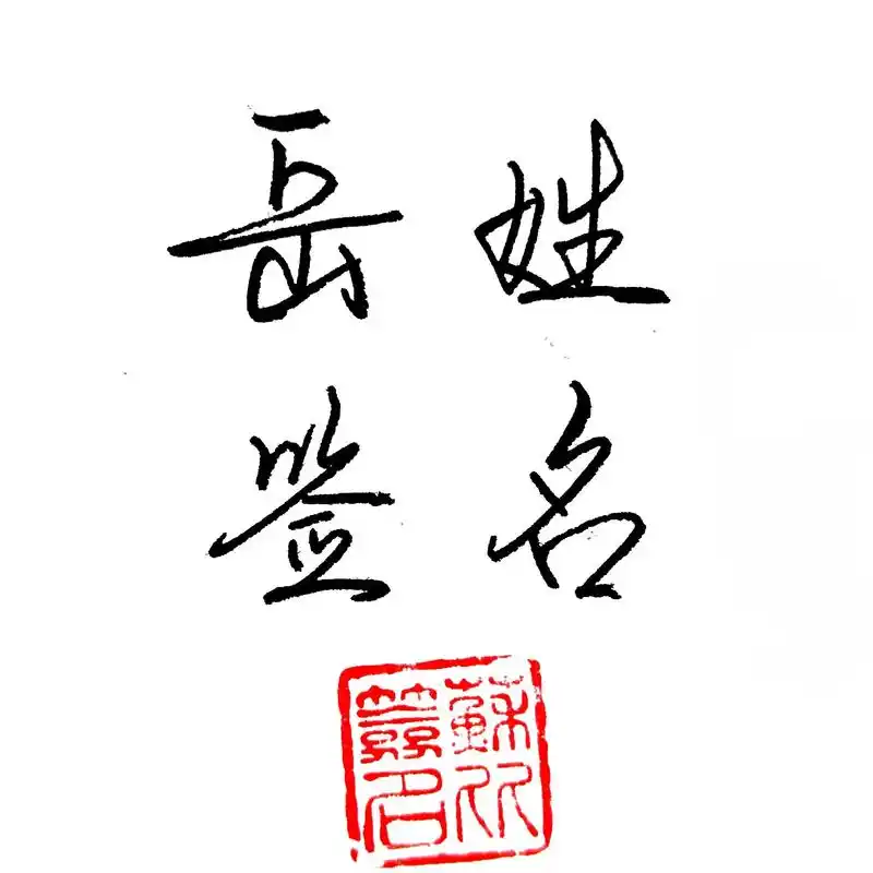 岳姓签名写法大全.岳姓签名写法大全#岳 #签名设计 #手写名 - 抖音