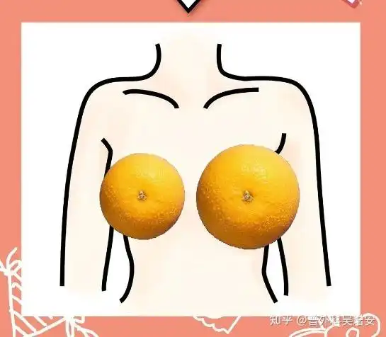 请问16岁女生胸部发育到多大算正常